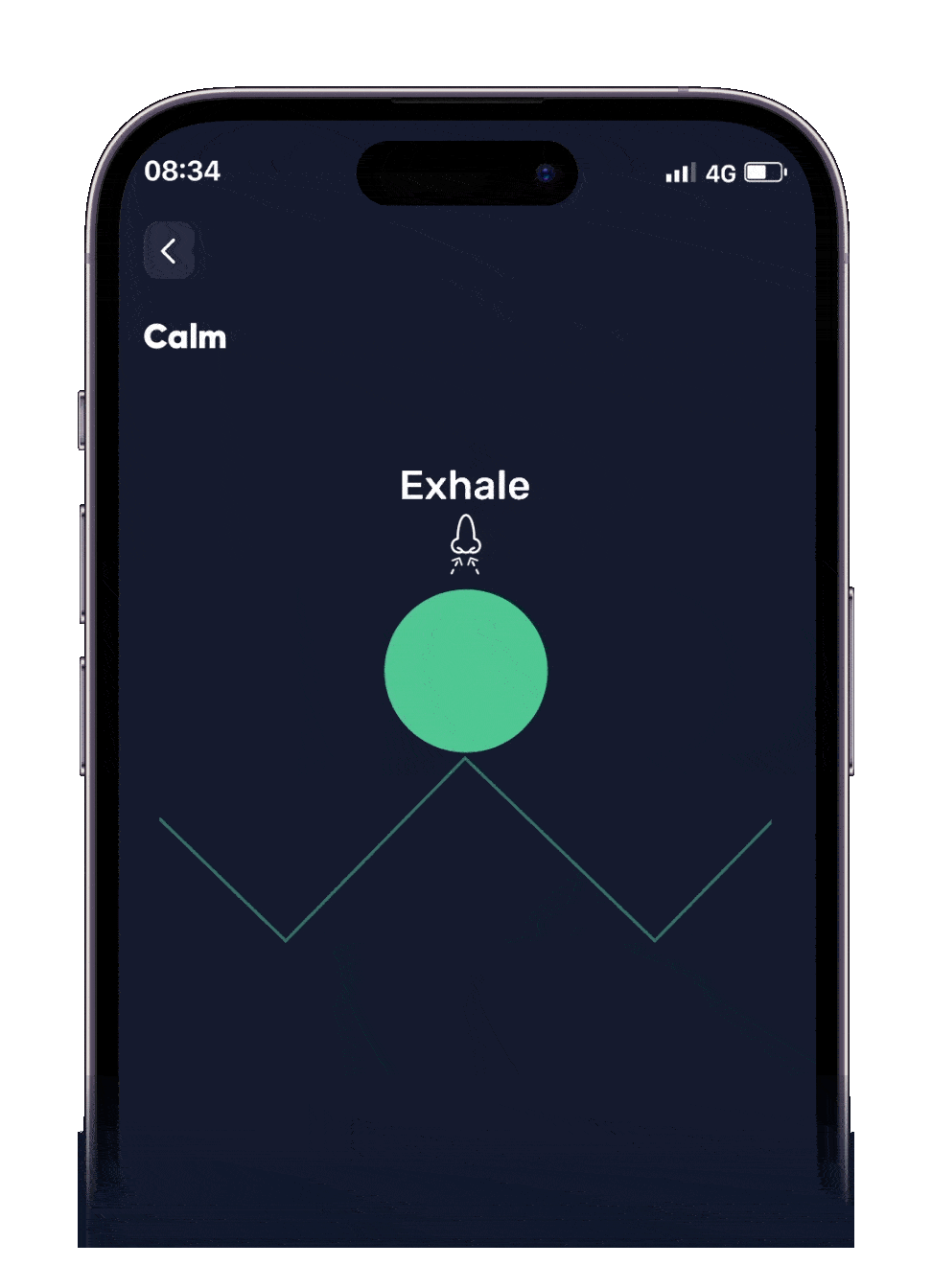 Better Breathe App Breathing Exercises