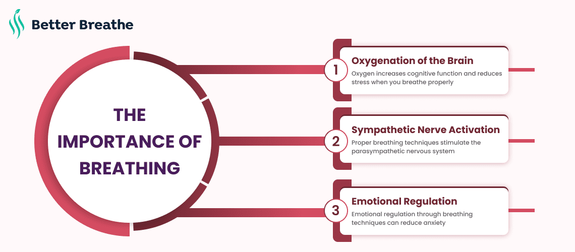 Learn Importance of Breathing